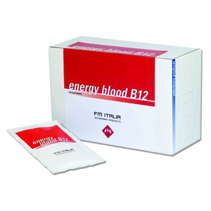 Energy B12 FM Italia
