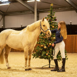 Calze Christmas QHP (2-pack)