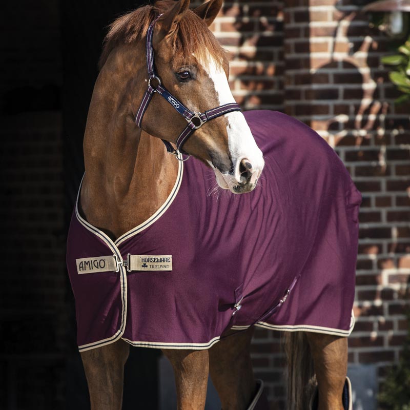 Coperta di cotone Stable Sheet Horseware
