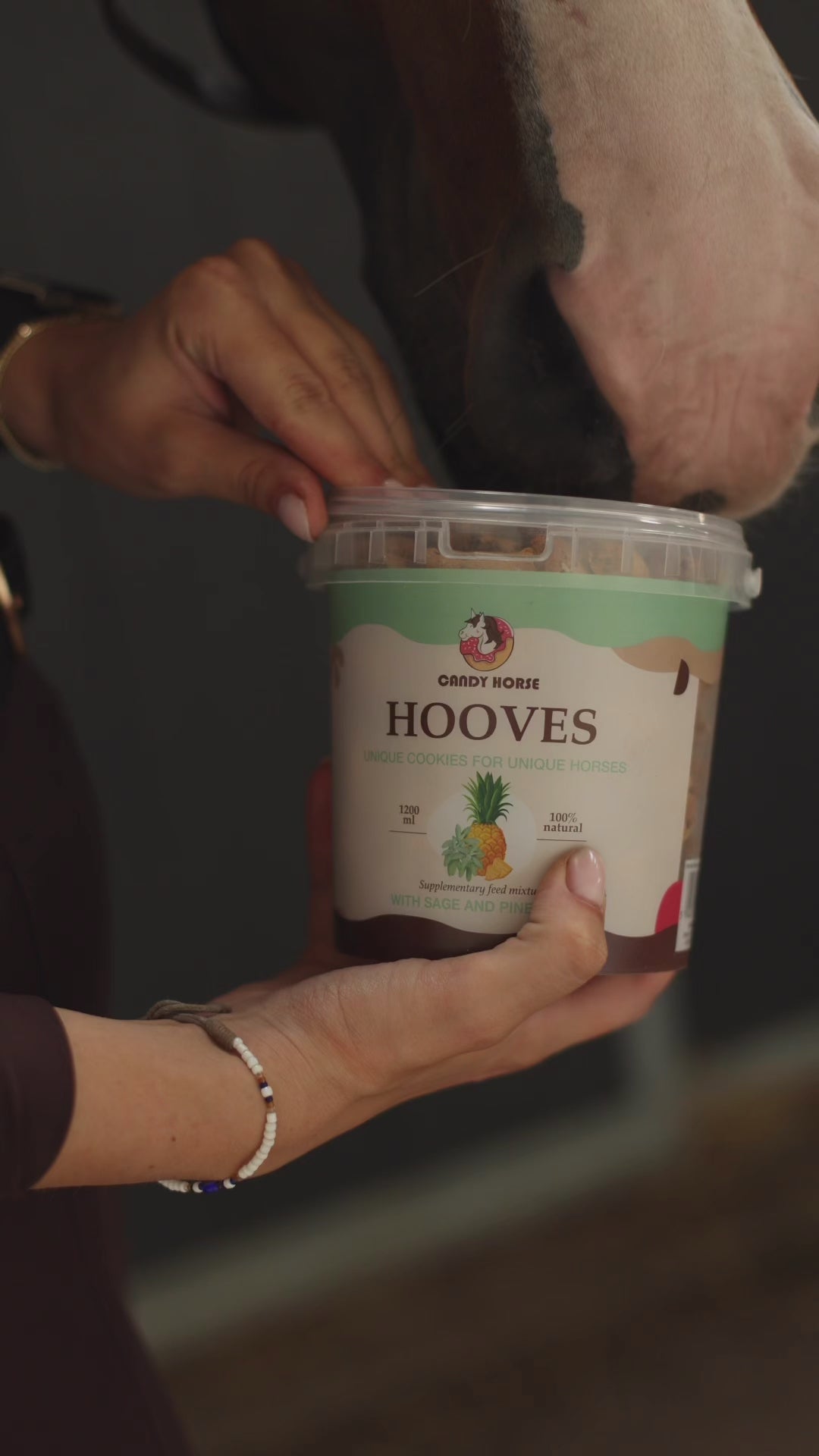 SAN VALENTINO <3 - Biscotti pieni d'amore I Grande scatola di biscotti per cavalli