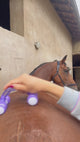 Maggiatore per cavallo Equitheme
