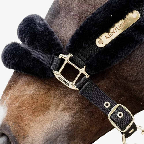 Capezza in nylon e pelliccia nera Kentucky