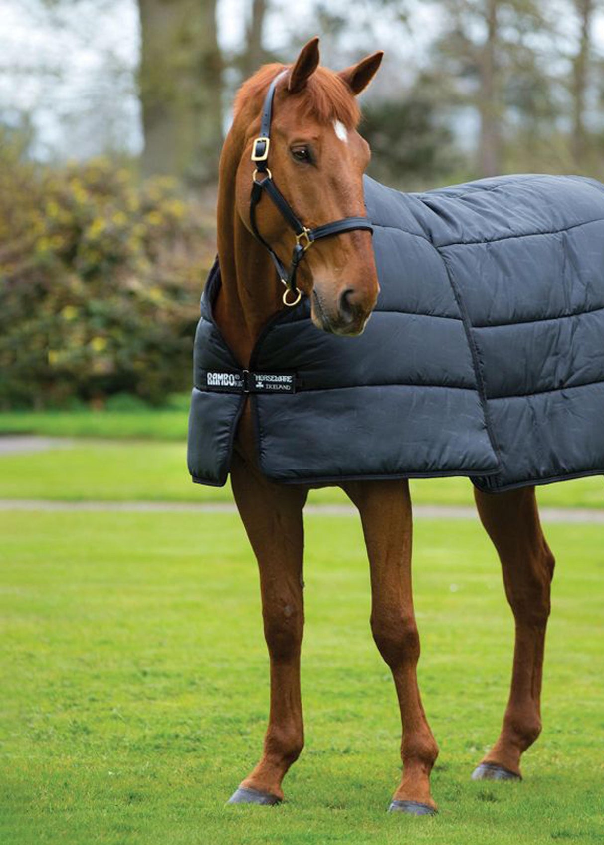 Horseware® Optimo Liner (200g Light)