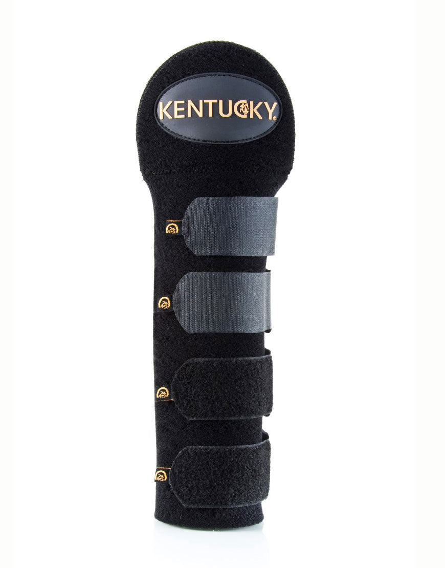 Paracoda da viaggio Kentucky