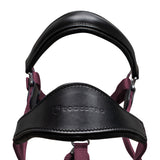 Cavezza ergonomica con inserti in cuoio Equestro