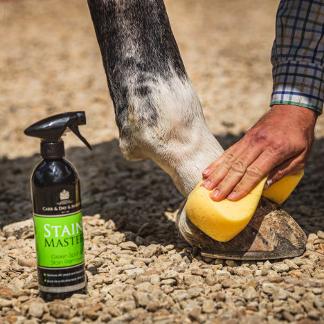 Shampoo a secco STAIN MASTER 500 ml Carr&Day&Martin