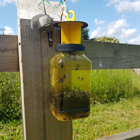 Fly Trap Attractant Starbar attrattivo specifico per mosche e insetti volanti