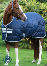 Coperta da box Amigo® Insulator 350g Horseware